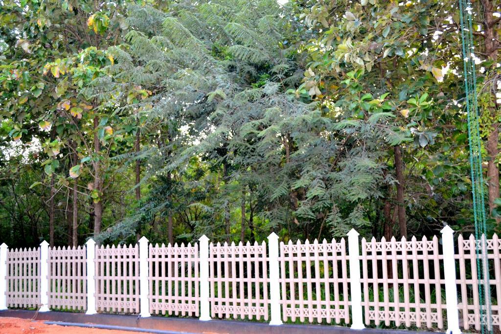 Pivisuma Lodge Dambulla Eksteriør billede